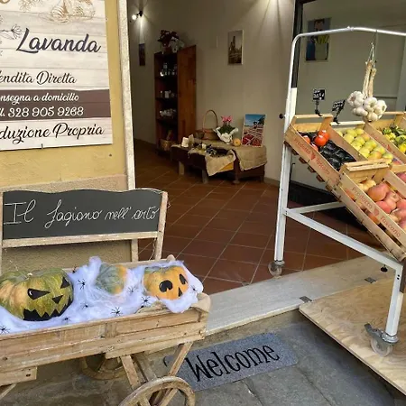 Vakantiehuis The 4 Senses Experience