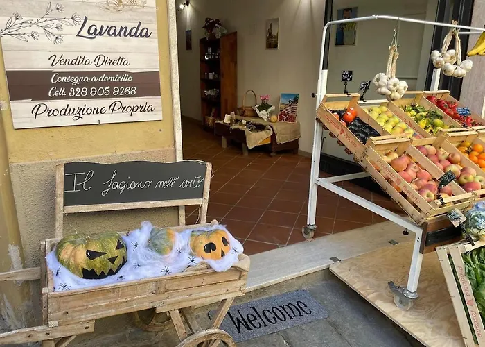 펜션 The 4 Senses Experience